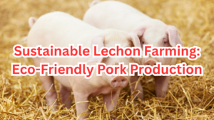 sustainable lechon farming