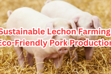 sustainable lechon farming